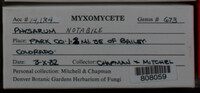 Image Associated With the Occurence
